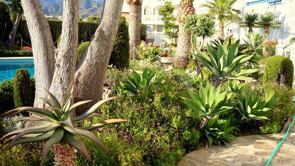 Apartamentos Starnerja En Stella Maris 部屋 写真